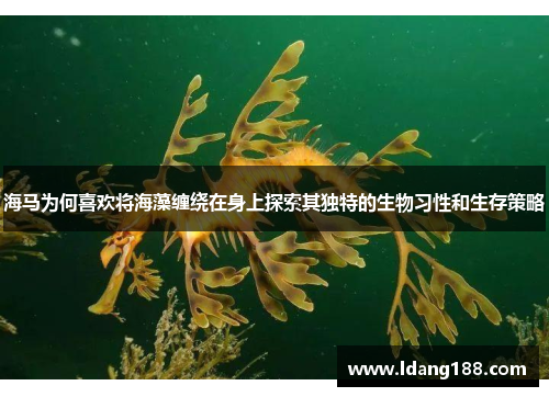 海马为何喜欢将海藻缠绕在身上探索其独特的生物习性和生存策略