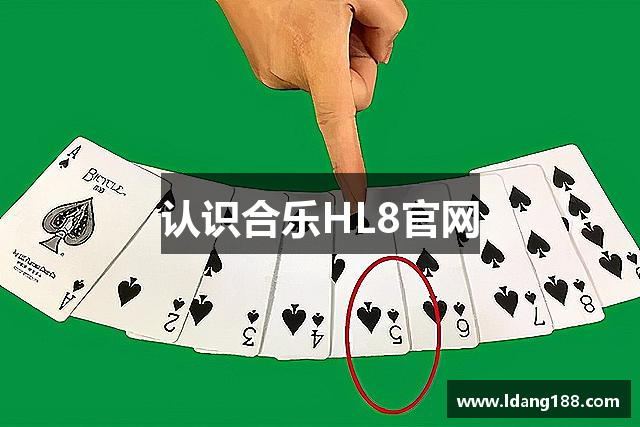 认识合乐HL8官网